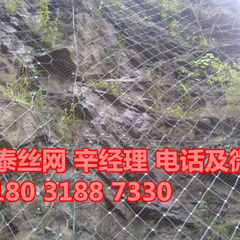 主動(dòng)防護(hù)網(wǎng)sns