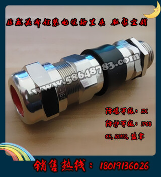 隔爆型铠装电缆密封接头3/4NPT(M)