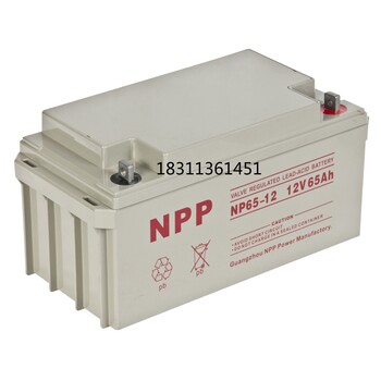 NPP蓄电池NP12-65太阳能免维护蓄电池12V65AHUPSEPS电源直流屏电瓶