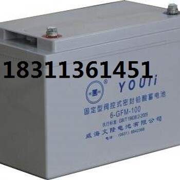 有利蓄电池12v120AH免维护铅酸电池6-GFM-120太阳能光伏发电电瓶