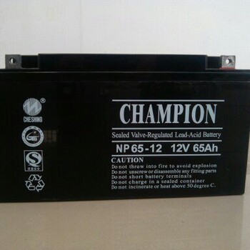 NP65-12免维护铅酸蓄电池12V65AH直流屏UPS电瓶