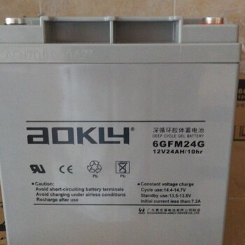 AOKLY奥克莱蓄电池6GFM24/12V24AHUPSEPS直流屏蓄电池