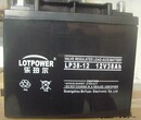 乐珀尔（LOTPOWER）12V38AH蓄电池UPS太阳能直流屏专用电瓶