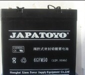 TOYO东洋蓄电池6GFM50/12V50AH/20HR阀控密封式铅酸蓄电池