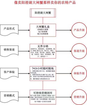 年货大礼包卡券在线扫码支付分销系统