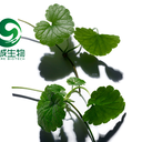 補骨脂提取物