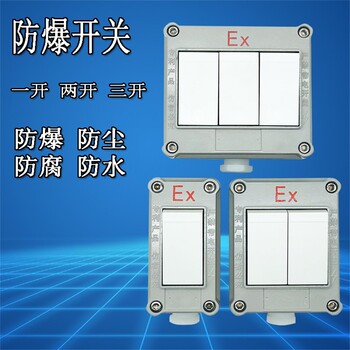 防爆墙壁开关单开双开三开10A220V照明防爆开关一开两开明装暗装