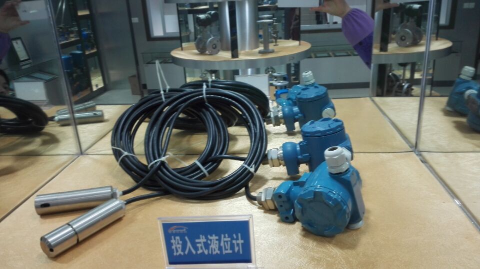 江苏通达公司直供TD-DBU投入式液位控制仪，投入式液位计