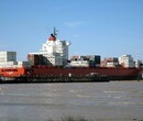 江门新会到福州马尾海运一个小柜限重几吨全程运费