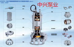 WQ污水污物潜水电泵不锈钢污水泵型号图片4