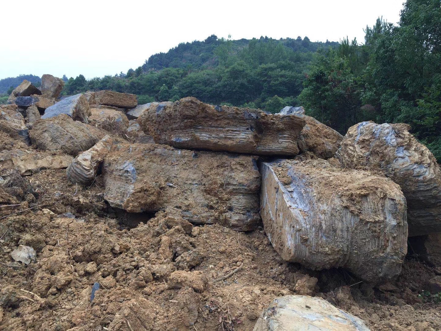 假山石千层石价格  龟纹石假山  商家 景石千层石价格 咨询