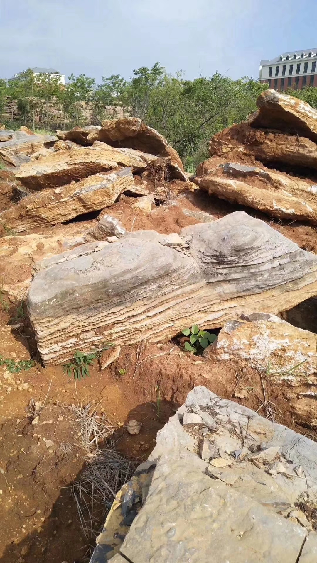 千层石跌水假山  千层石驳岸施工  商家 千层石多少钱一吨 咨询