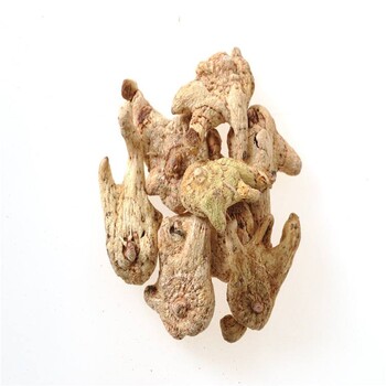 農(nóng)博金草金線蓮你致富成功的渠道