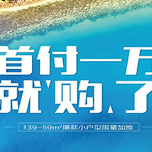 山东龙口海景房首付1万海边安个家2019年龙口海景房最新消息图片