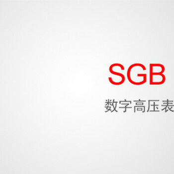 SGB数字高压表