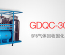 GDQC-300CSF6气体回收固化提纯系统