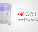 GDQC-501HSF6抽真空充气装置