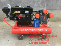 九江水利防汛气动打桩机植桩机便于使用快速植桩操作简单图片5