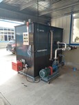益宇生产厂家供YY-RQX型免手续锅炉燃气蒸汽发生器图片0