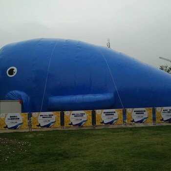 大型气模主题鲸鱼岛乐园出租鲸鱼岛乐园出售