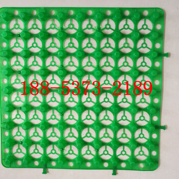湖南25mm蓄排水板，蓄排水板价格，凹凸蓄排水板厂家
