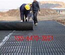 潍坊车库底板排水板生产厂家