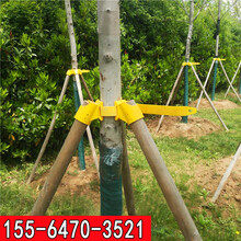 支撐樹木架供應商圖片
