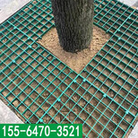 重庆塑胶树池盖板规格型号图片4