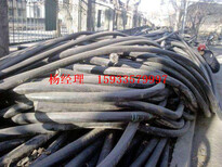 山东省聊城市东昌府区废旧电缆回收厂家图片5
