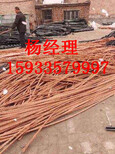 湖北省荆州市电缆回收电话图片4