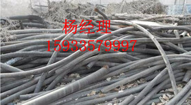 晋中市昔阳县低压电缆回收多少钱一斤图片0