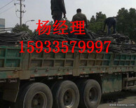 邯郸市鸡泽县吕电缆回收上门回收图片3