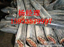 锡林郭勒锡林浩特市铜电缆回收2018回收价格图片1