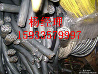 秦皇岛市卢龙县低压电缆回收-24小时报价图片1