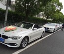 上海租宝马跑车、上海租赁宝马跑车、上海出租宝马跑车、图片