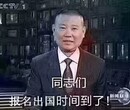 出国打工法国德国招人厨师工图片