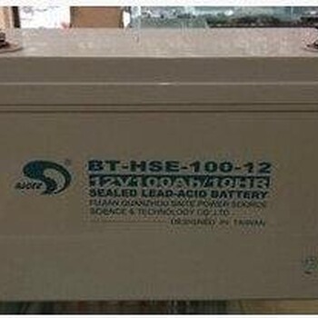 赛特蓄电池BT-HSE-100-1212V100AH蓄电池UPS电源等铅酸蓄电池