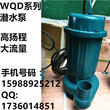 WQD單相潛污泵220v家用污水泵農田排污泵