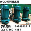 小型单相潜污排污泵WQD潜水污水泵图片