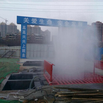 南京#平板式洗车设备