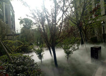 虞城公园雾森系统图片4