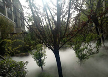 邵阳园林景观造雾系统价格图片0