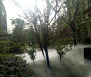 金安公园雾森系统图片