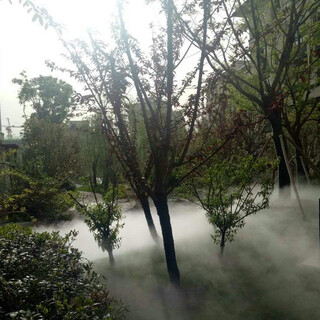 莱芜公园假山人造雾森贺州人工造雾系统图片3