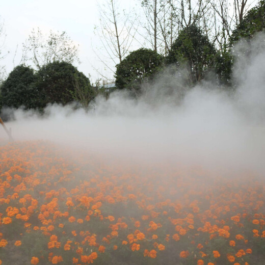 潍坊人造雾森喷雾设备宜昌园林雾森系统