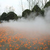 台州人工造雾设备说明