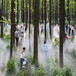 扬州景观人造雾系统规格