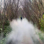 舞阳公园景观造雾设备施工图片2