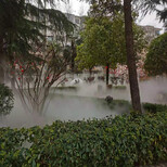 舞阳公园景观造雾设备施工图片4