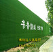 长乐绿色草皮墙面，围墙广告牌人工草坪厂